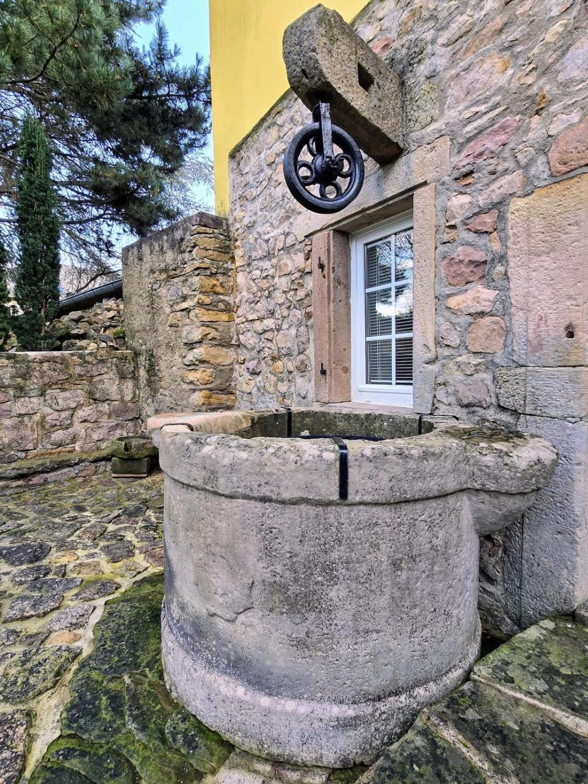 Studio Route Des Vins D 'Alsace Eichhoffen Экстерьер фото